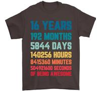 16th Birthday 16 Year Old Mens T-Shirt 100% Cotton Dark Chocolate 2XL