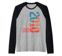 16th Birthday Boy Girl 16 Years 2010 Gift Funny Raglan Baseball Tee