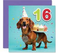 16th Birthday Cards for Girls Boys - Party Dog - Happy Birthday Card for 16 Year Old Girl Boy Granddaughter Grandson Son Cousin, 145mm Bday Greeting Cards