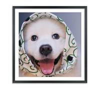 16x16 Diamond Painting Picture Frames Solid Wood, Ideal for Pictures 25x35 cm/14x14 Inch with Mat or 40x40cm/16x16 Inch Without Mat, 16x16 inch Diamond Art Picture Frame Black (UKA22B1616W1414)