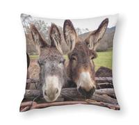 16x16inches (40x40cm) Pillow Covers, Donkey Family in Meadow, during Winter, Chair Cushions, Sofa Cushions, Seat Pillow Cases Cushions, Bed Pillowcase Cushions