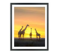 16x20 inch Diamond Painting Frames Solid Wood, Ideal for Pictures 35x45 cm/14x18 Inch with Mat or 40x50 cm/16x20 Inch Without Mat, 16x20 inch Diamond Art Picture Frame Black (UKA22B1620W1418)