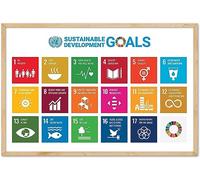 16x24" - Sustainable Development Goals Poster, UN SDGs Poster, 17 Goals of United Nations Global Goals Poster, 17 Goals Chart Wall Art Print Home Office Education School Classroom Decor (Unframed)