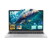 17.3" FHD(1920 x 1080) IPS Business Laptop Computer, 16G DDR4 RAM 512G SSD, in tel Celeron N5095 Quad-Core Processor,Win 11 Pro PC, HDMI, Fingerprint Reader, Backlit KB,BT 5.0/WiFi,Silver (512G SSD)