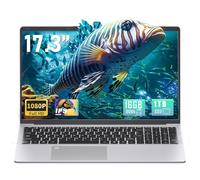 17.3" FHD(1920 x 1080) IPS Business Laptop Computer, 16G DDR4 RAM, in tel Celeron N5095 Quad-Core Processor,Win 11 Pro PC, HDMI, Fingerprint Reader, Backlit KB,BT 5.0/WiFi,Silver (1T SSD)