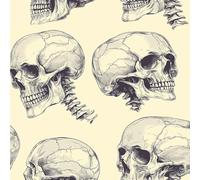 17.3"x197" Human Body Skeleton Peel and Stick Wallpaper Skull Hand Drawn Contact Paper Shelf Liner for Cabinets Non-Woven Fabrics Self Adhesive Removable Wall Paper Covering Bedroom
