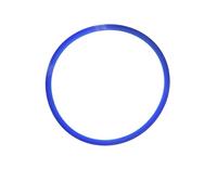 17# for 8L-45L Autoclave door gasket sterlization door seal replacement seal Chamber seal accessories and tools(12L)