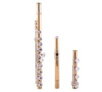 17 Hole B Tail Open And Close Dual-use Sub-gold Silver Plated Adult Children Student Universal Professional Examination Instrument