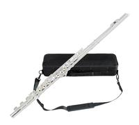 17 Holes C Key E Silver Plated Flute Open Hole Closed Hole Dual-Purpose Flute Suitable For Left-Handed People Learning To Play The Gift Storage Box And Maintenance Tools