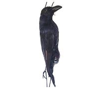 17 in simulation crow - realistic hanging crow props for decoration, artificial birds, bird scarer for gardens, crow deterrent, dead crow replica to deter birds