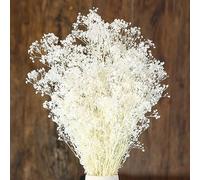17 inch Dried Baby's Breath Flowers Bouquet - 1500+ Pure White Dry Flowers, Real Gypsophila Branches for Wedding, DIY Home Party Table Decor, Wreath Floral (White)