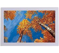 17 Inch High-definition Electronic Photo Frame Video Display Rack Player 1080P Wall-mounted Vertical Screen Display,White,Hilarious123