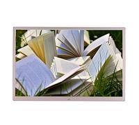 17 Inch Metal Digital Photo Frame 1440x900 HD Wall Mountable, can be installed on the wall, easy to set up with USB and SD card slot and remote control (Color : Gold)