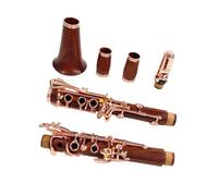 17 Key B Flat Professional Clarinet Rosewood Material Professional Clarinet(M16)