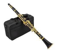 17 Key Bb Tone ABS Resin Body Lacquer Gold Keys Clarinet With Storage Case And Accessories Clarinet Set