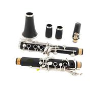17 Key Clarinet Made Of ABS Resin With Nickel Plating Beginner Clarinet