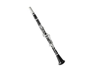 17 Key Dual Adjustment Clarinet Set Ebony Wood Exam Prep & Performance Design Beginner Clarinet