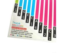 17-Key Kalimba Scale Sticker Set for Beginners, Colorful Thumb Harp Note Labels Compatible with 17-Tone Kalimbas, PVC Learner