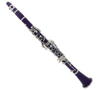 17 Keys Bb Tone Clarinet Musical Instruments Set With White Gloves Cloth Reeds And Box Clarinet Kit (Color : 05)