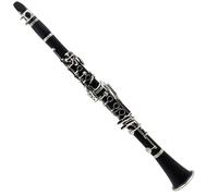 17 Keys Bb Tone Clarinet Musical Instruments Set With White Gloves Cloth Reeds And Box Clarinet Kit (Color : 01)