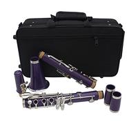 17 Keys Clarinet Bb Flat Woodwind Instrument ABS Clarinet Cupronickel Nickel-plated Key With Box Beginner Clarinet