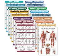 17 Pack - Exercise Poster Set: Dumbbell, Suspension, Kettlebell, Muscular, Medicine Ball, Battle Rope, Resistance Bands, Stretching, Bodyweight, Barbell, Yoga and More (LAMINATED, 18" x 27")