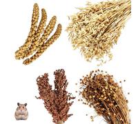 17 PCS Natural Habitat Decor for Small Pets, Contains 4 Yellow Corn Ears, 50g Flaxseed Ear, 2 Red Sorghum Ears, and 10 Oat ears, Hamster Habitat Decoration, Can Grind Teeth, 20-30 cm Size Rang