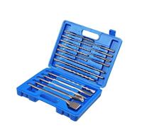 17 Pcs SDS Drill Bits Set, Mixed Hammer Drill Bit and Chisel Set with Storage Case, Rotary Hammer Drill Accessories for Concrete, Tile, Brick, Cement (Blue)