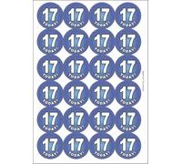 17 Seventeen Today Seventeenth 17th Birthday Circular Matt Paper Stickers A4 Sheet of 24 (Each Sticker is 45mm Diameter)