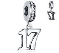 17 Years Old Birthday Dangle Charms fits Pandora Christmas Bracelet, 925 Sterling Silver 17th Anniversary Pendant Beads with CZ, Number 17 Bday Gifts for Niece/Nephew/Boy