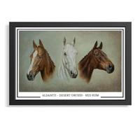 (170) Aldaniti Red Rum Desert Orchid Horse Racing Legends Framed A4 (21 X 297 CM) Art Work Wall Art Display Great Gift Idea (REPRINT) #####