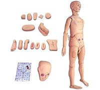 170cm/5.57ft Life Size Multi-functional Patient Care Simulator Male And Female Nursing Manikin Human Anatomical Model