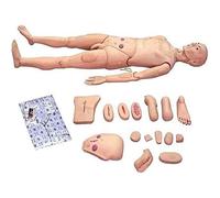 170cm Life Size CPR Training Manikin for Nursing, Interchangeable Patient Care Simulator for Men and Women, Professional Medical Training Resource