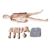 170Cm Life Size Unisex Male Female Life Size Nursing Training Manikin Advanced Nursing Training Manikin for Nursing Education CPR First Aid Healthcare Student Practice A