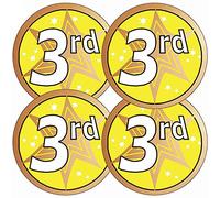 175 Metallic Shiny 3rd Place Childrens Pupils Motivational Reward Stickers 37mm Primary Teaching Services