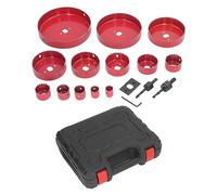 17Pcs Bi Metal Hole Saw Kit, Heavy Duty Woodworking Drill Bit Set with Carrying Case, Professional Hole Cutter for Metal Wood Plastic, Includes 13 Sizes from 3/4in to 6in