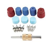 17Pcs R12 R134A Car Air Conditioning Valve Core Schrader Remover Tool Kit | Air Conditioner Valve Core Schrader Remover Tool and AC System Charging Port Caps Kit, AC HVAC Repair Replacement Maintenance