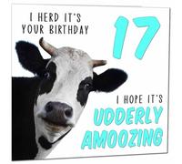 17th Birthday Card for Men Women Cow Pun Funny Birthday Card for 17 Year old teenage Girls Daughter Granddaughter Sister Kids seventeen, seventeenth cousin Niece