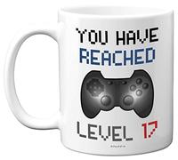 17th Birthday Gamer Gift - Level 17 Gamer Mug, 17th Birthday Gifts, 11oz Dishwasher Safe Coffee Mugs Cup, for Boys or Girls, Retro Video Game, Novelty Gaming for Him or Her