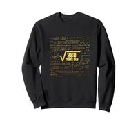 17th Birthday Square Root of 289 17 Years Old Math Fun Sweatshirt