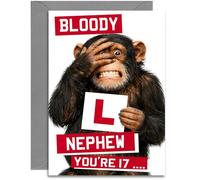 17th Nephew Funny Bloody L Birthday Card - Age 17 Chimp with L Plate design - A5 Size Card with Grey Envelope, Made in UK