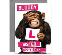 17th Sister Funny Bloody L Birthday Card - Age 17 Chimp with L Plate design - A5 Size Card with Grey Envelope, Made in UK