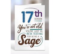 17th Version you are not old, you are just in beta testing for being a sage, Birthday Greeting Card, Gifts for him, her, female, male, Happy Birthdays, Sentiment cards - gc-A5-011_017