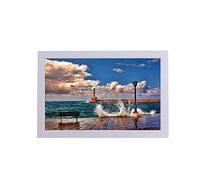 18.5 inch Digital Photo Frame, Black and White Two-Color Advertising Machine,can remotely Operate Multi-Function Electronic Photo Frame (White)