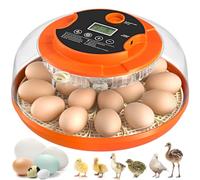 18 Egg Incubator with Automatic Egg Turning and Humidity Control, Incubators for Chicken Eggs, Incubators for Ducks, Goose, Pigeon, Quail, Parrot Farm, Lab, Science Classroom, Home (Orange)