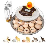 18 Egg Incubator with Automatic Egg Turning & Humidity Control, Built-in Egg Candler, 360° View Window & Dual-Size Trays for Chicken, Duck, Quail, Goose Eggs - Ideal for Farm, Classroom, Home