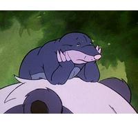 18 Feb. 1994The Feud Begins