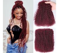18 Inch Afro Kinkys Curly Human Hair Bulk for Permanent Micro Locs/Twists/Braids/Repair Locs Afro Kinky Curly Bulk Human Hair 99J Burgundy Red Color 50g/pack