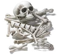 18-pc Bag of Halloween Skeleton Fake Bones & Skull - Spooky Halloween Decorations for Parties - Realistic Human Bones Set for Graveyards, Anatomy Displays, & More - Props to Chill Your Guests