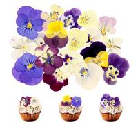 18 Pcs Dried Pressed Flowers, Dried Pressed Flowers for Crafts, Dry Violas Pressing Floral Set for DIY Jewelry Making Nail Card Scrapbook Art Craft